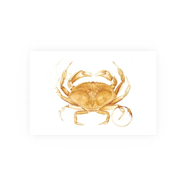 Dungeness Crab Coffee Art Print (Archival Matte) - Image 2