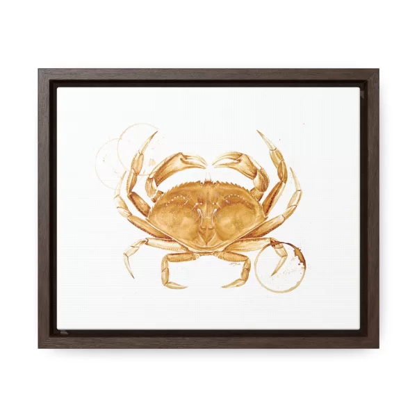 Dungeness Crab Coffee Art Framed Stretched Canvas Print